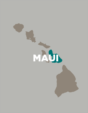 Maui Map